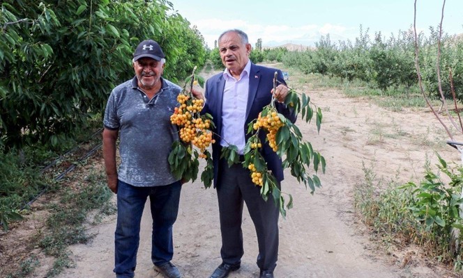 Yahyalı’daki Kiraz Üreticileri İhracatı Artırmayı Hedefliyor